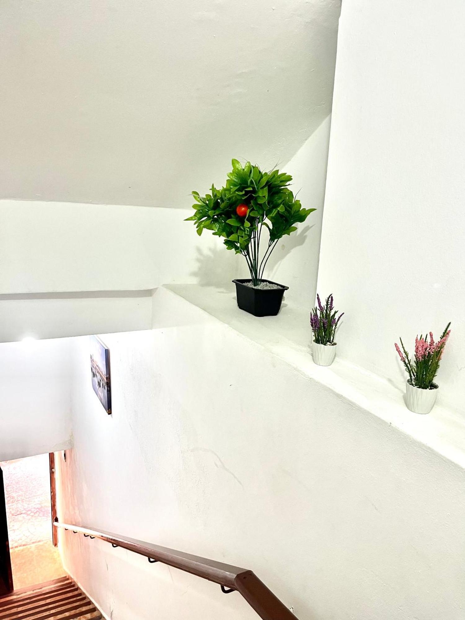 アシラーSoleado Apartamento Al Lado De La Preciosa Medina , A 3 Minutos De La Playa Andando IIアパートメント エクステリア 写真